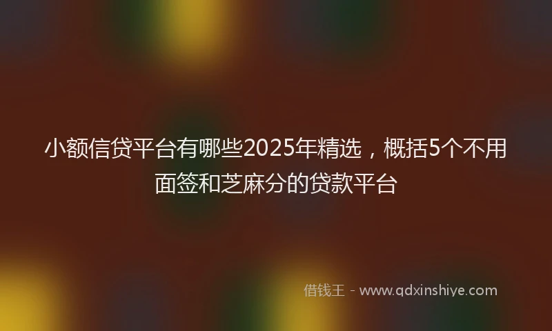 小额信贷平台有哪些2025年精选，概括5个不用面签和芝麻分的贷款平台