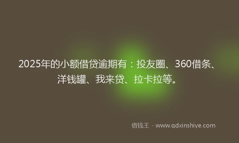 2025年的小额借贷逾期有：投友圈、360借条、洋钱罐、我来贷、拉卡拉等。