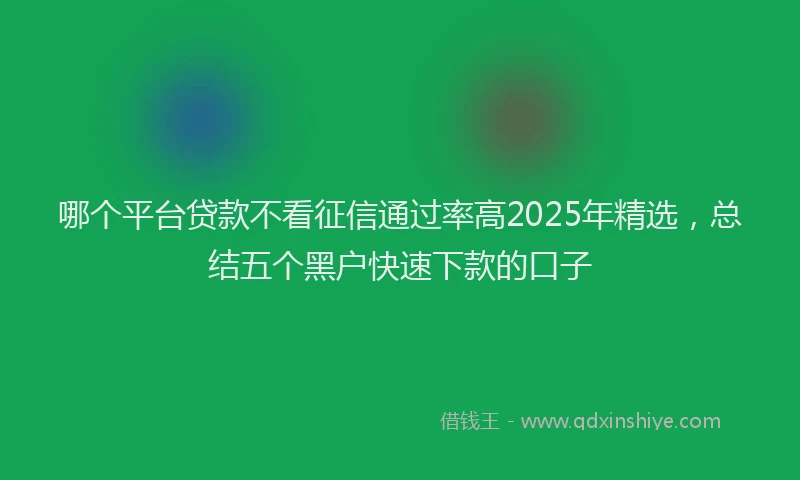 哪个平台贷款不看征信通过率高2025年精选，总结五个黑户快速下款的口子