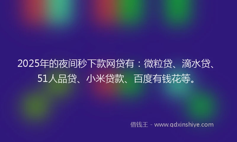 2025年的夜间秒下款网贷有：微粒贷、滴水贷、51人品贷、小米贷款、百度有钱花等。