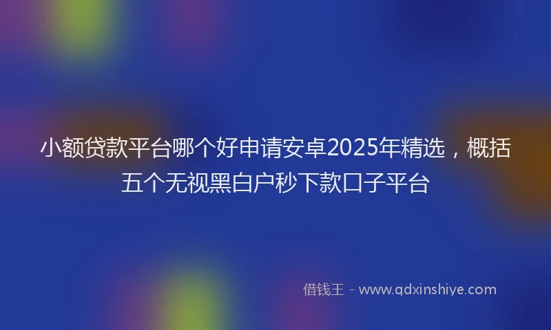 小额贷款平台哪个好申请安卓2025年精选，概括五个无视黑白户秒下款口子平台