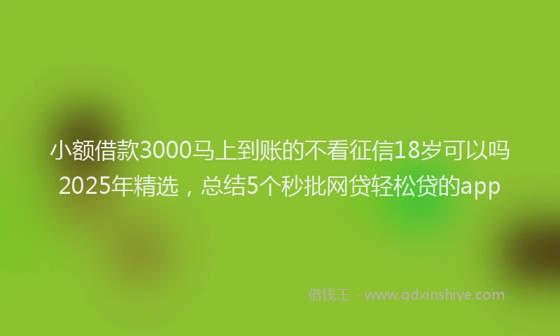 小额借款3000马上到账的不看征信18岁可以吗2025年精选，总结5个秒批网贷轻松贷的app
