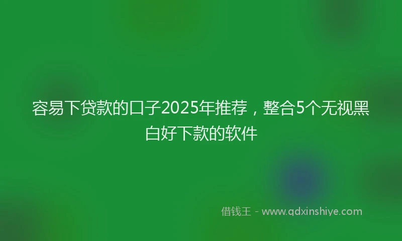 容易下贷款的口子2025年推荐，整合5个无视黑白好下款的软件
