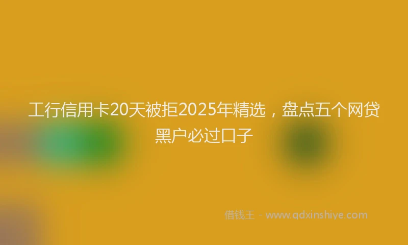 工行信用卡20天被拒2025年精选，盘点五个网贷黑户必过口子