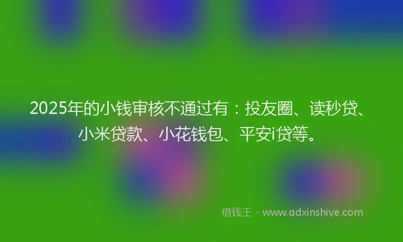 2025年的小钱审核不通过有：投友圈、读秒贷、小米贷款、小花钱包、平安i贷等。