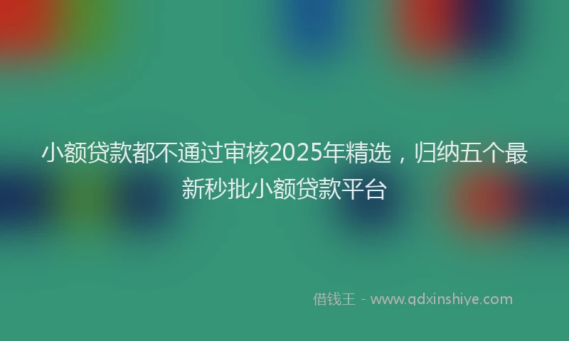 小额贷款都不通过审核2025年精选，归纳五个最新秒批小额贷款平台