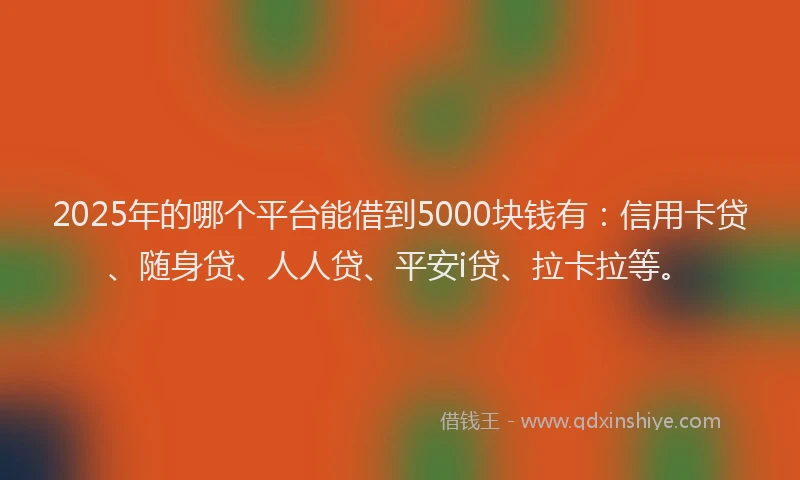 2025年的哪个平台能借到5000块钱有：信用卡贷、随身贷、人人贷、平安i贷、拉卡拉等。