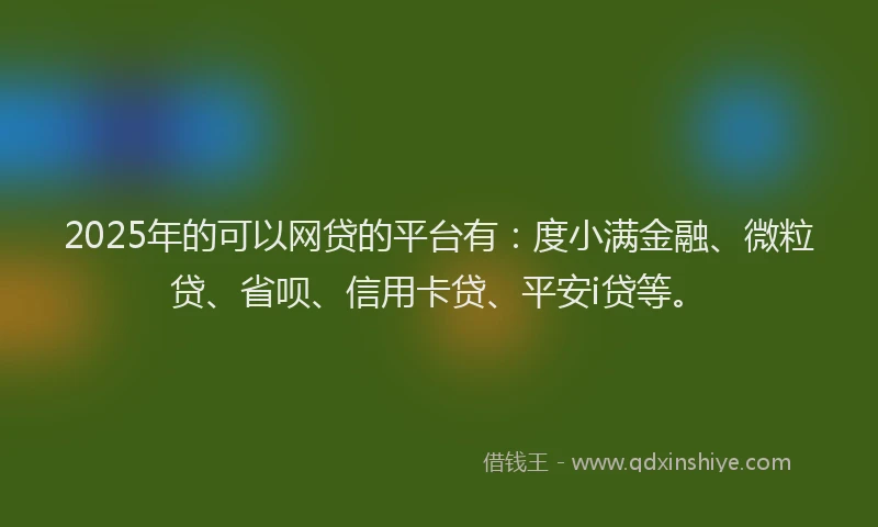 2025年的可以网贷的平台有：度小满金融、微粒贷、省呗、信用卡贷、平安i贷等。