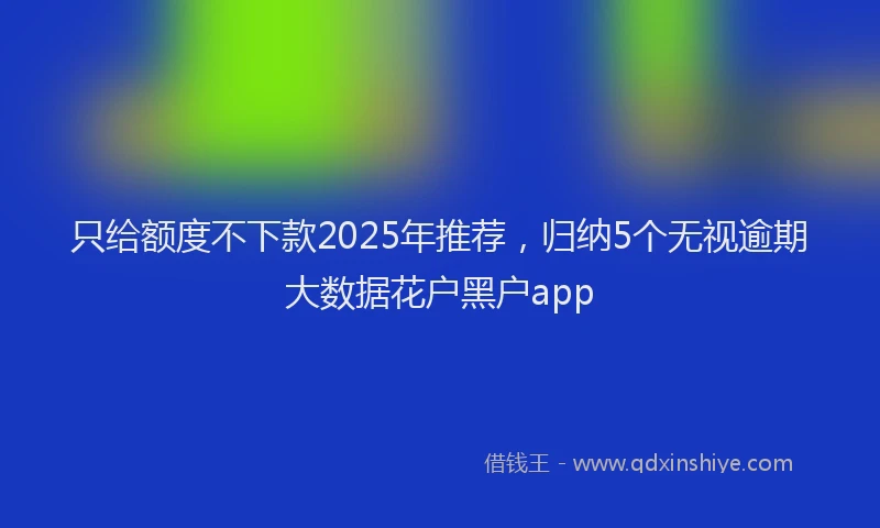 只给额度不下款2025年推荐，归纳5个无视逾期大数据花户黑户app