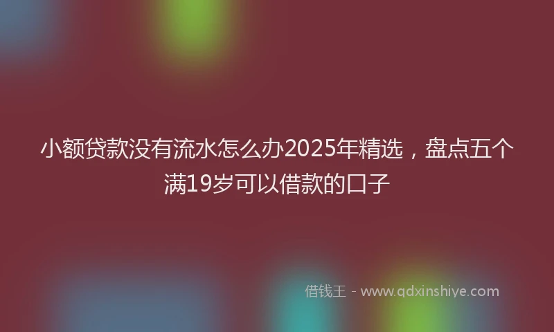 小额贷款没有流水怎么办2025年精选，盘点五个满19岁可以借款的口子