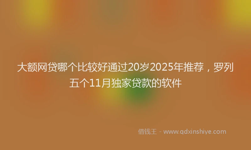 大额网贷哪个比较好通过20岁2025年推荐，罗列五个11月独家贷款的软件