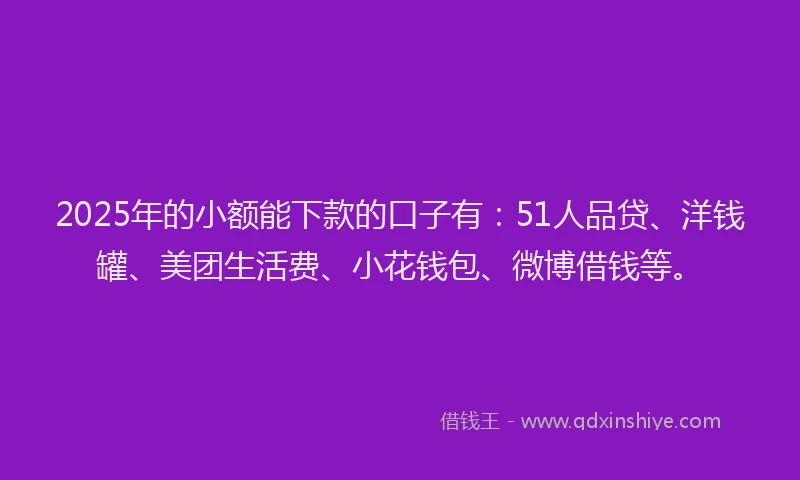 2025年的小额能下款的口子有：51人品贷、洋钱罐、美团生活费、小花钱包、微博借钱等。