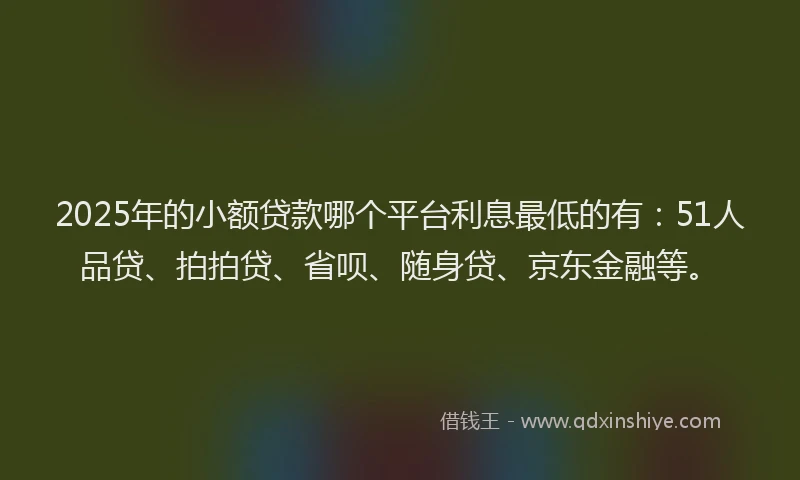 2025年的小额贷款哪个平台利息最低的有：51人品贷、拍拍贷、省呗、随身贷、京东金融等。