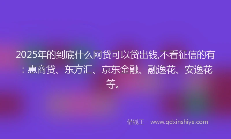 2025年的到底什么网贷可以贷出钱,不看征信的有：惠商贷、东方汇、京东金融、融逸花、安逸花等。