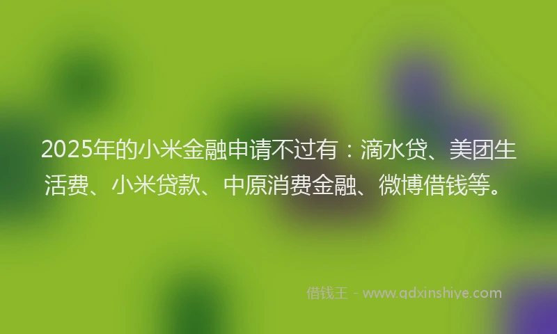 2025年的小米金融申请不过有：滴水贷、美团生活费、小米贷款、中原消费金融、微博借钱等。
