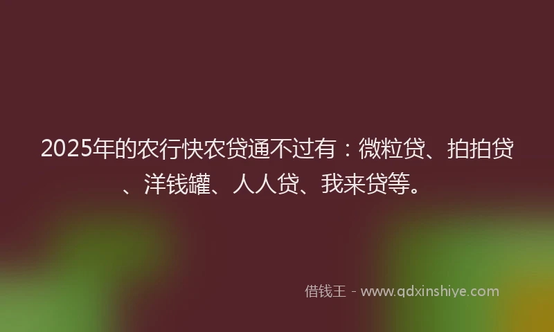 2025年的农行快农贷通不过有：微粒贷、拍拍贷、洋钱罐、人人贷、我来贷等。