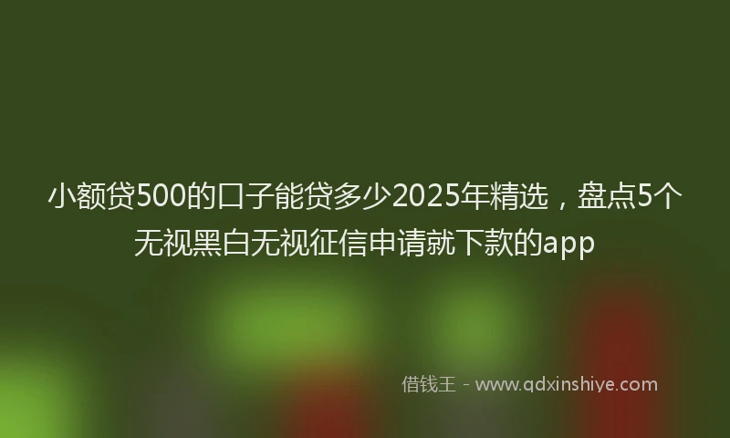 小额贷500的口子能贷多少2025年精选，盘点5个无视黑白无视征信申请就下款的app
