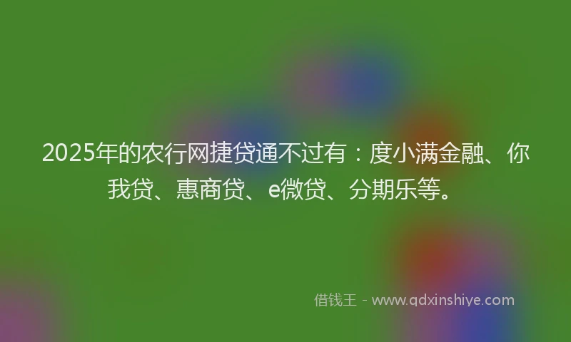 2025年的农行网捷贷通不过有：度小满金融、你我贷、惠商贷、e微贷、分期乐等。