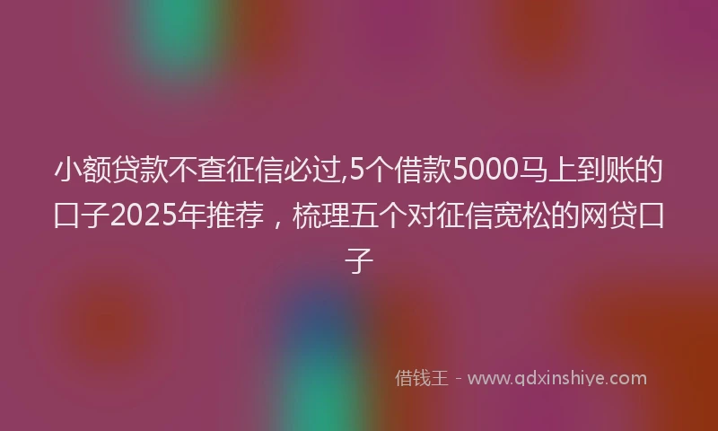 小额贷款不查征信必过,5个借款5000马上到账的口子2025年推荐，梳理五个对征信宽松的网贷口子