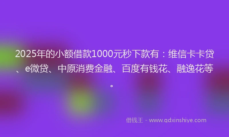 2025年的小额借款1000元秒下款有：维信卡卡贷、e微贷、中原消费金融、百度有钱花、融逸花等。