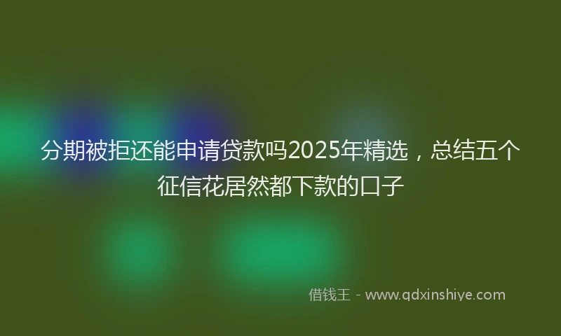 分期被拒还能申请贷款吗2025年精选，总结五个征信花居然都下款的口子