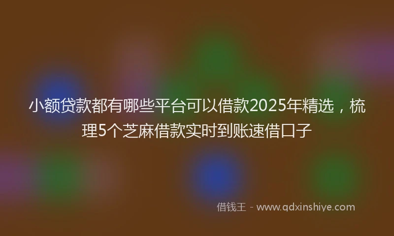 小额贷款都有哪些平台可以借款2025年精选，梳理5个芝麻借款实时到账速借口子