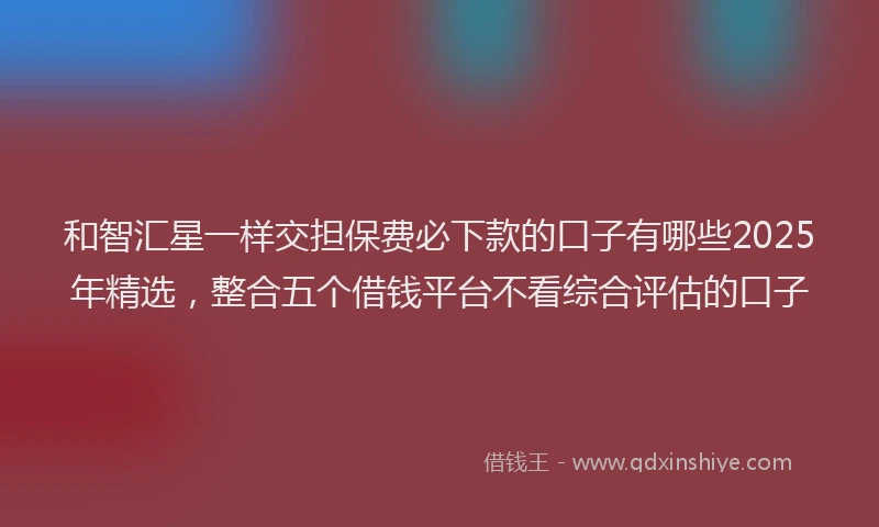 和智汇星一样交担保费必下款的口子有哪些2025年精选，整合五个借钱平台不看综合评估的口子