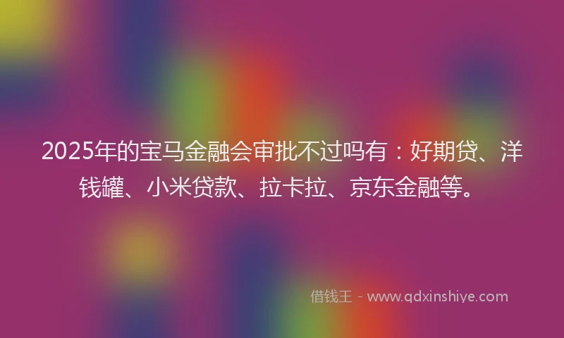 2025年的宝马金融会审批不过吗有：好期贷、洋钱罐、小米贷款、拉卡拉、京东金融等。