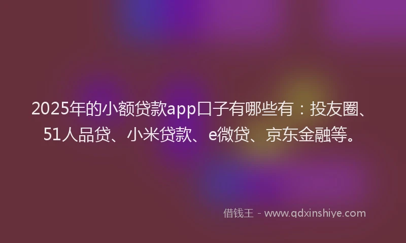 2025年的小额贷款app口子有哪些有：投友圈、51人品贷、小米贷款、e微贷、京东金融等。