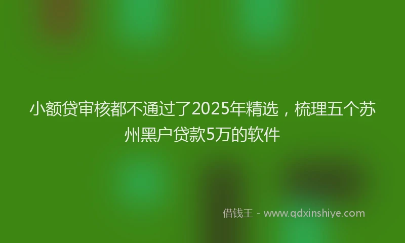 小额贷审核都不通过了2025年精选，梳理五个苏州黑户贷款5万的软件