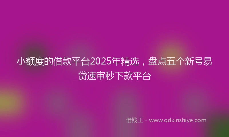 小额度的借款平台2025年精选，盘点五个新号易贷速审秒下款平台