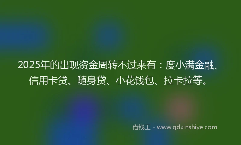 2025年的出现资金周转不过来有：度小满金融、信用卡贷、随身贷、小花钱包、拉卡拉等。