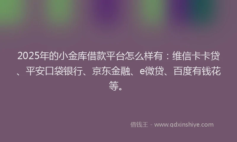 2025年的小金库借款平台怎么样有：维信卡卡贷、平安口袋银行、京东金融、e微贷、百度有钱花等。
