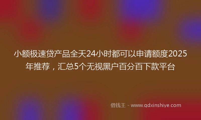 小额极速贷产品全天24小时都可以申请额度2025年推荐，汇总5个无视黑户百分百下款平台