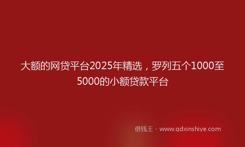 大额的网贷平台2025年精选，罗列五个1000至5000的小额贷款平台