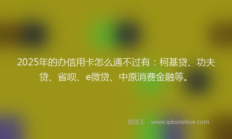 2025年的办信用卡怎么通不过有：柯基贷、功夫贷、省呗、e微贷、中原消费金融等。