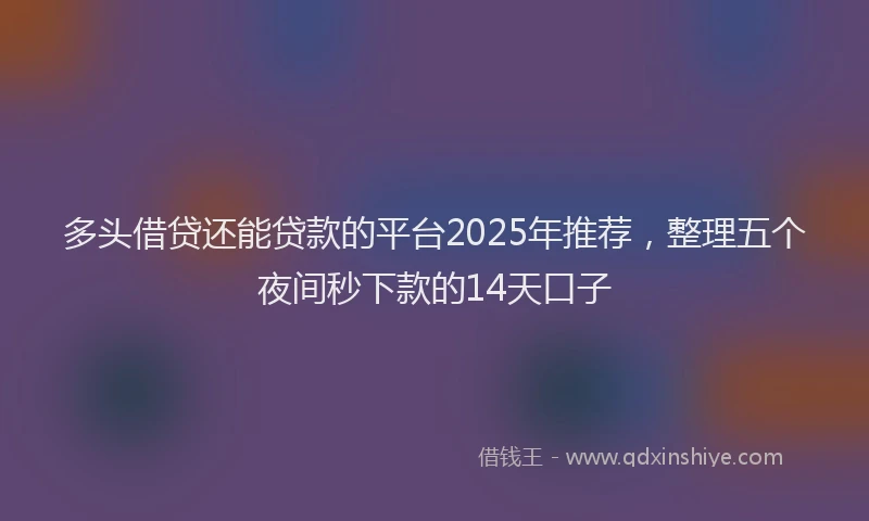 多头借贷还能贷款的平台2025年推荐，整理五个夜间秒下款的14天口子