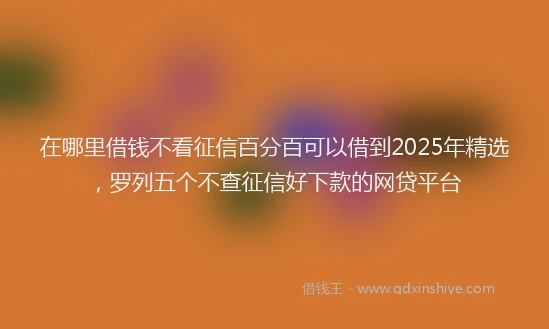 在哪里借钱不看征信百分百可以借到2025年精选，罗列五个不查征信好下款的网贷平台