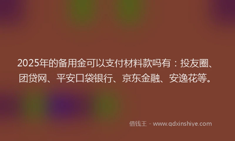2025年的备用金可以支付材料款吗有：投友圈、团贷网、平安口袋银行、京东金融、安逸花等。