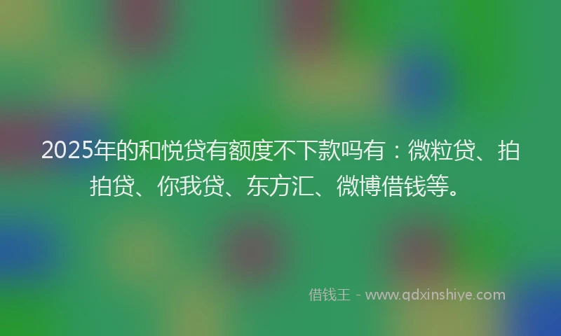 2025年的和悦贷有额度不下款吗有：微粒贷、拍拍贷、你我贷、东方汇、微博借钱等。