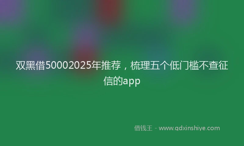 双黑借50002025年推荐，梳理五个低门槛不查征信的app