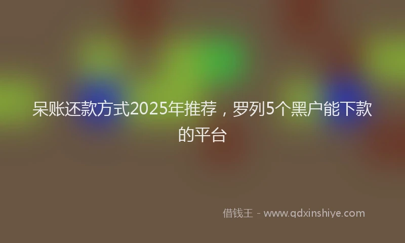呆账还款方式2025年推荐，罗列5个黑户能下款的平台