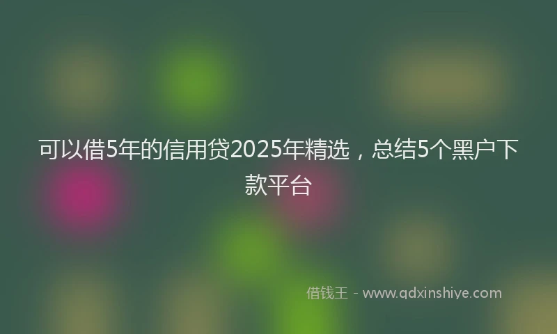 可以借5年的信用贷2025年精选，总结5个黑户下款平台