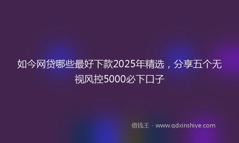 如今网贷哪些最好下款2025年精选，分享五个无视风控5000必下口子