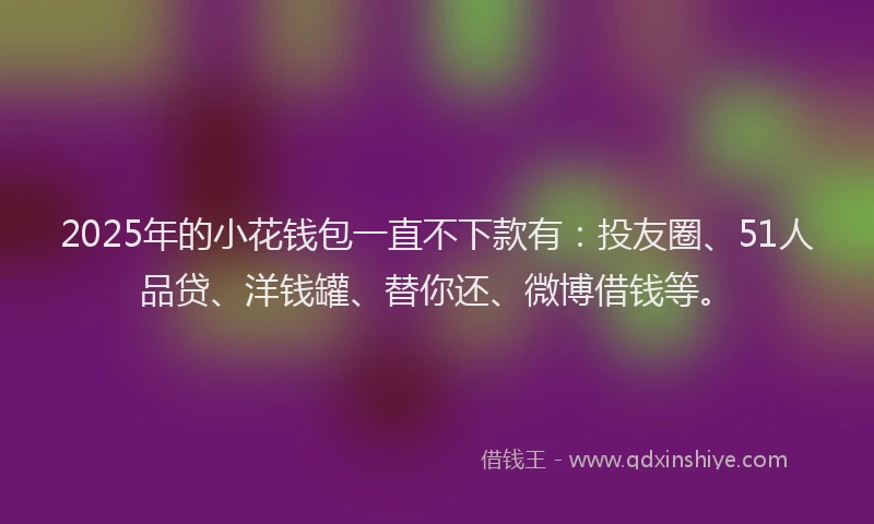 2025年的小花钱包一直不下款有：投友圈、51人品贷、洋钱罐、替你还、微博借钱等。