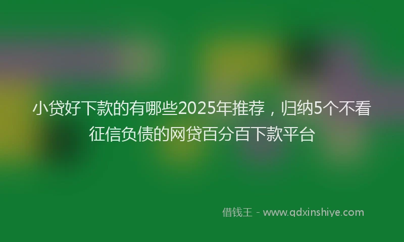 小贷好下款的有哪些2025年推荐，归纳5个不看征信负债的网贷百分百下款平台