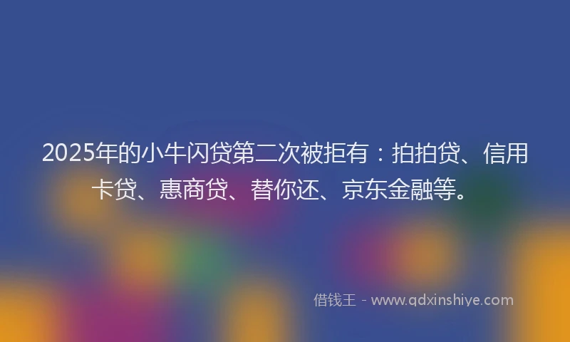2025年的小牛闪贷第二次被拒有：拍拍贷、信用卡贷、惠商贷、替你还、京东金融等。