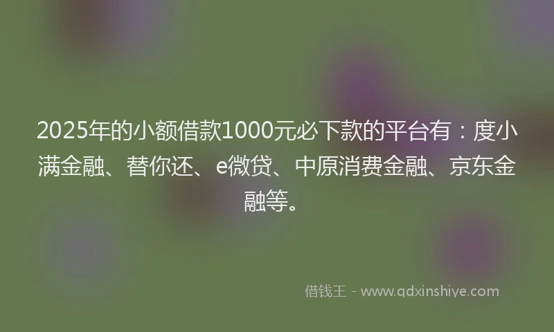 2025年的小额借款1000元必下款的平台有：度小满金融、替你还、e微贷、中原消费金融、京东金融等。