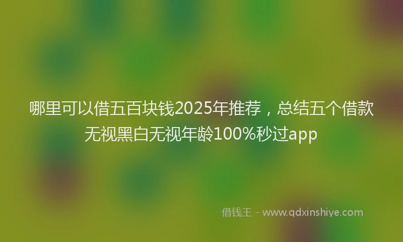 哪里可以借五百块钱2025年推荐，总结五个借款无视黑白无视年龄100%秒过app