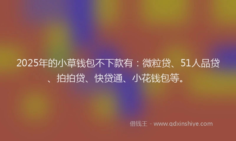 2025年的小草钱包不下款有：微粒贷、51人品贷、拍拍贷、快贷通、小花钱包等。